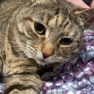 Meet your Posher, Luka